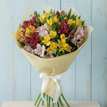 Букет цветов из:  Альстромерии #REPLACE_PRED# Петровске-Забайкальском