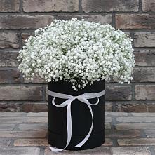 Цветочная композиция из Гипсофила в шляпной коробке в Петровске-Забайкальском