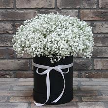 Цветочная композиция из Гипсофила в шляпной коробке в Петровске-Забайкальском