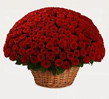 Премиум букет из: Розы в Петровске-Забайкальском