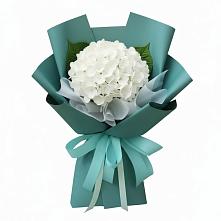 Букет цветов из:  Гортензия в Петровске-Забайкальском